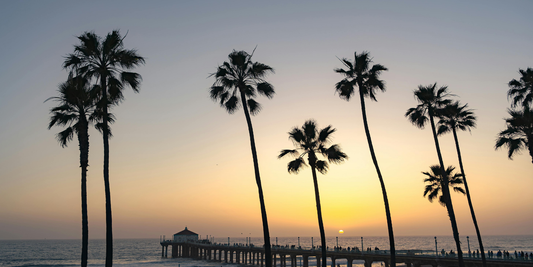 Your Feet Don’t Hurt Anymore, Get Out of the House! (SoCal Edition)