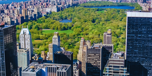 Groovin Through the Five Boroughs: Central Park & the Museum Mile