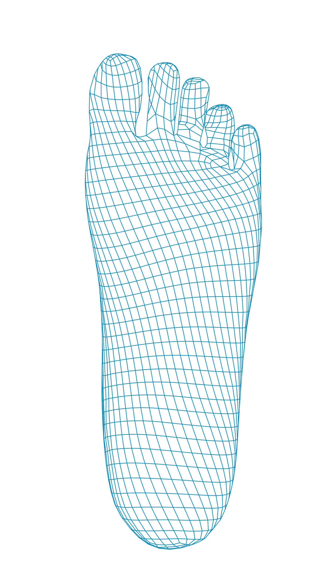 Feet Wireframe